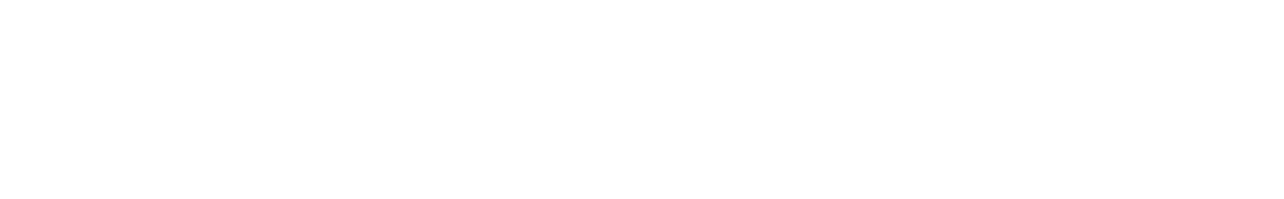 Wily  dull - riddim bass loop waveform