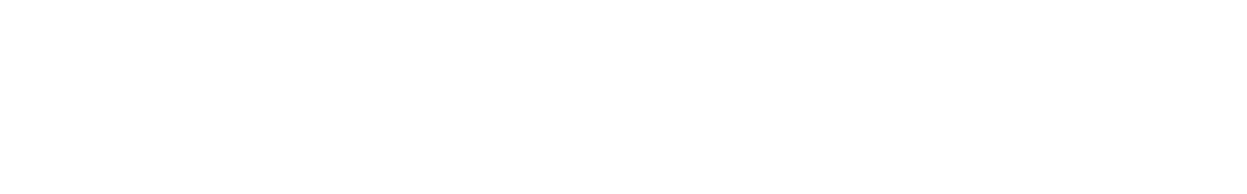 Mosquito Fly Sound waveform