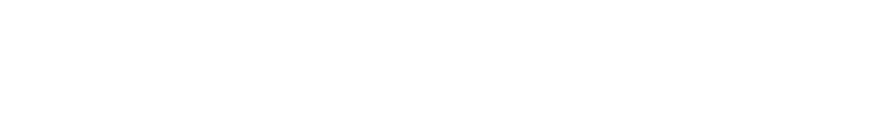 Arpeggiated Acid Bass (Echo Fill) waveform
