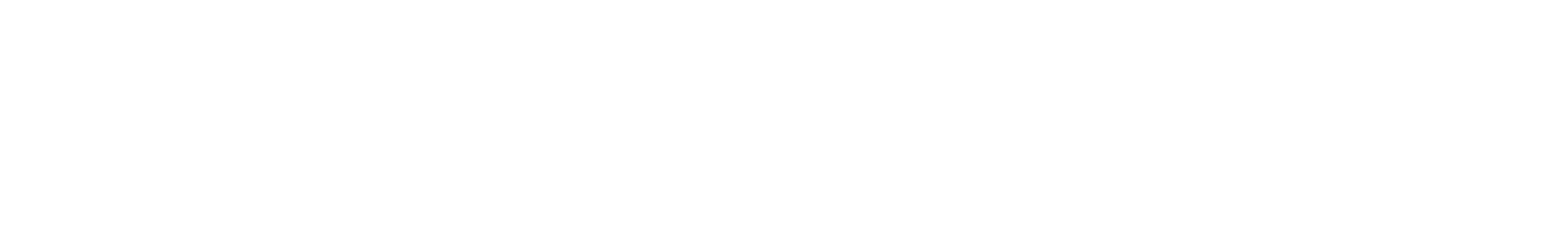 Seismic Pulse waveform