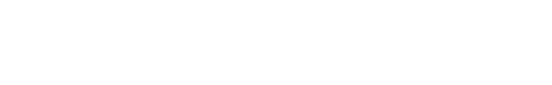 Indian Ghungroo Shaker - Long 2 waveform