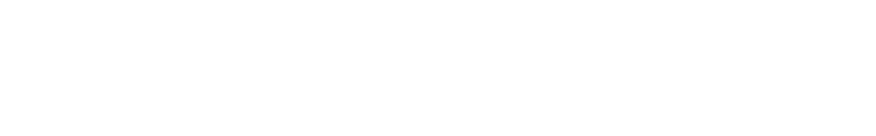 Ethno Drums Loop - Bright Bongos waveform