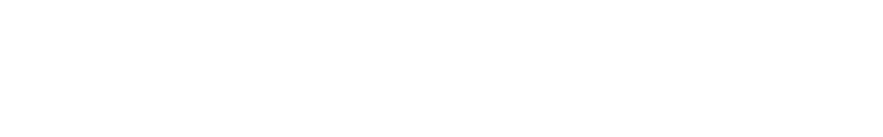 Long Echo Chippy Error waveform