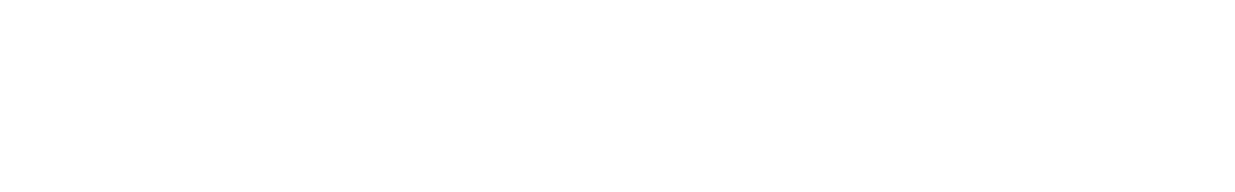 Seagull Noise - Animal Sound FX waveform