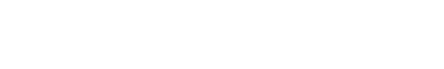 LinnDrum - 80´s Custom Snare waveform