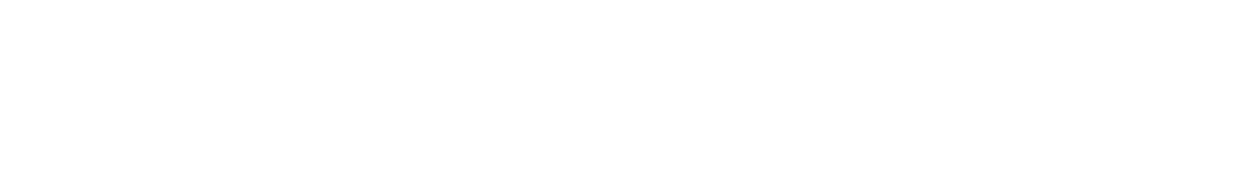 Nunca Muda Bass Shot waveform