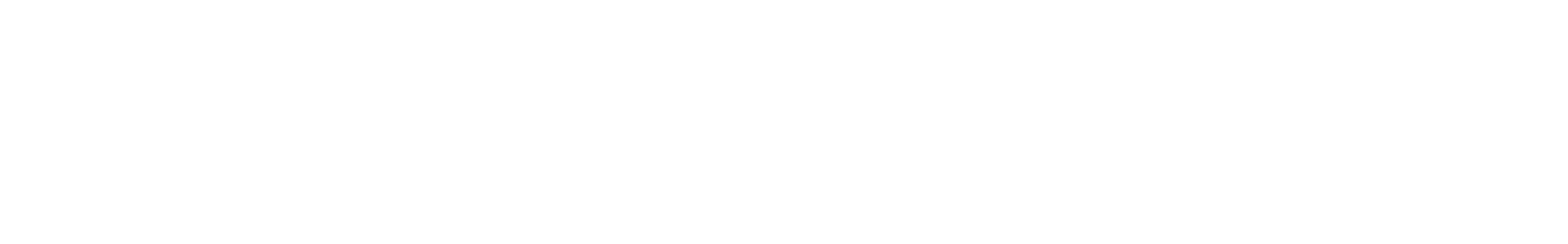 16 Bit Conga  waveform