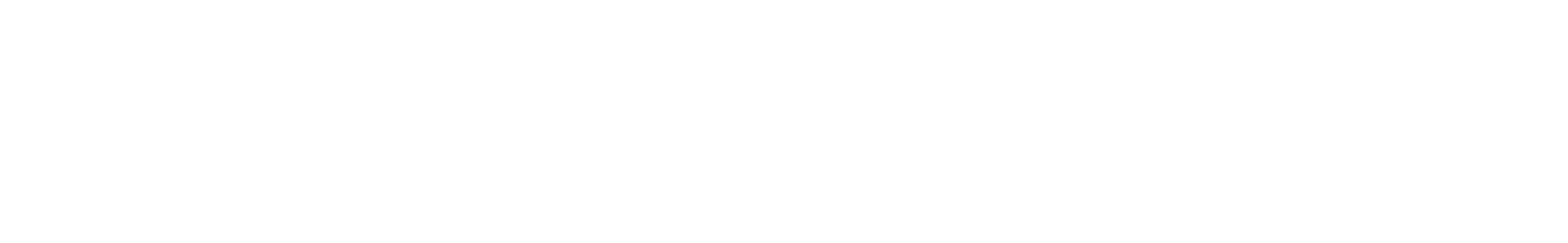 Dolphin Screech waveform