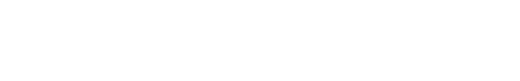 Recording Sample - Birds Singing In The Forest waveform
