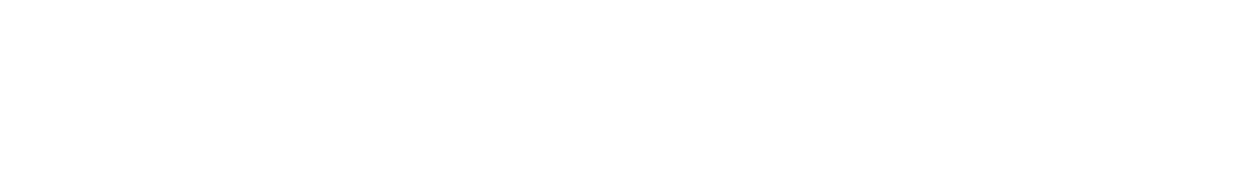 Digital Kick - Lion waveform