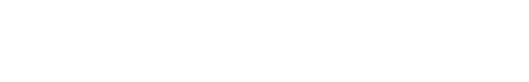 Whistling Birds  waveform